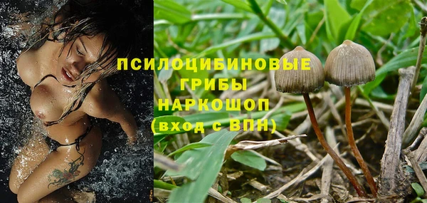 MESCALINE Вяземский