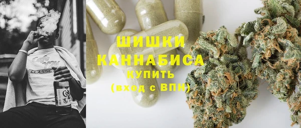 ешки Вязьма