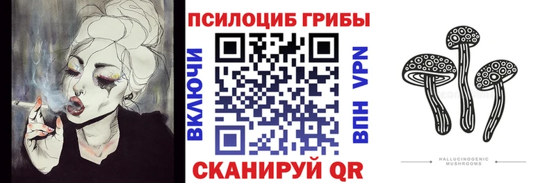 Псилоцибиновые грибы Psilocybe  Черногорск 