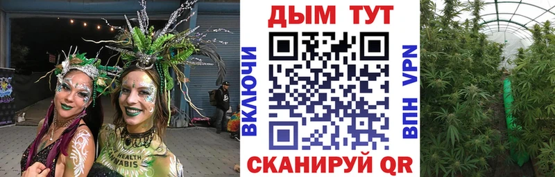 Бошки марихуана Bruce Banner  Черногорск 